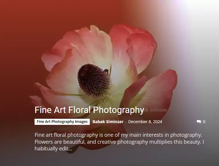 Fine Art Floral Photography