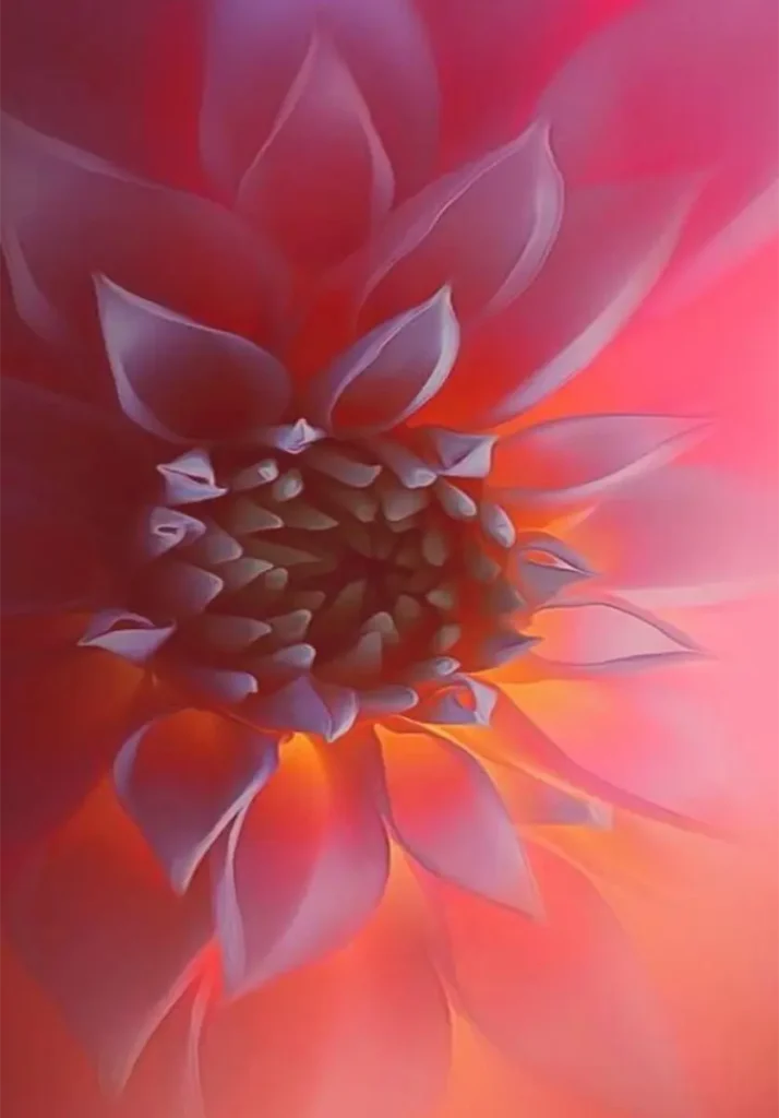Pink petals of various sizes