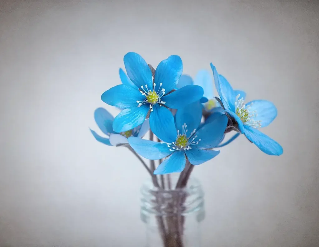 A simple bottle holding delicate pale flowers, set against an uncluttered background