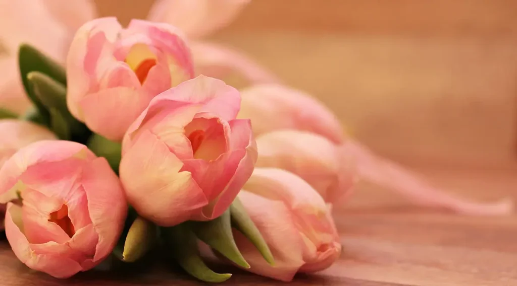 The creamy tones of the flowers blend naturally with the background