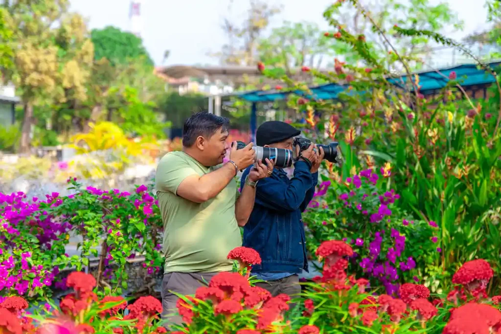 Photographers search the garden for flowers and wait for the right light
