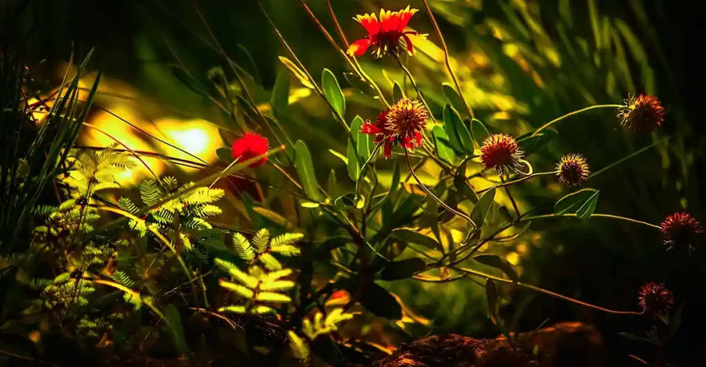 crowded arrangement of flowers and foliage