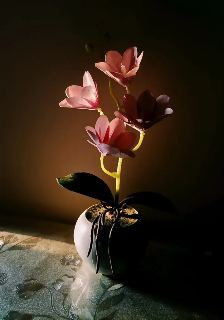 The light fully illuminates some flowers