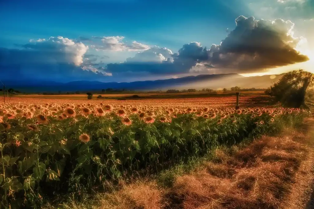 passing clouds and the shadows 