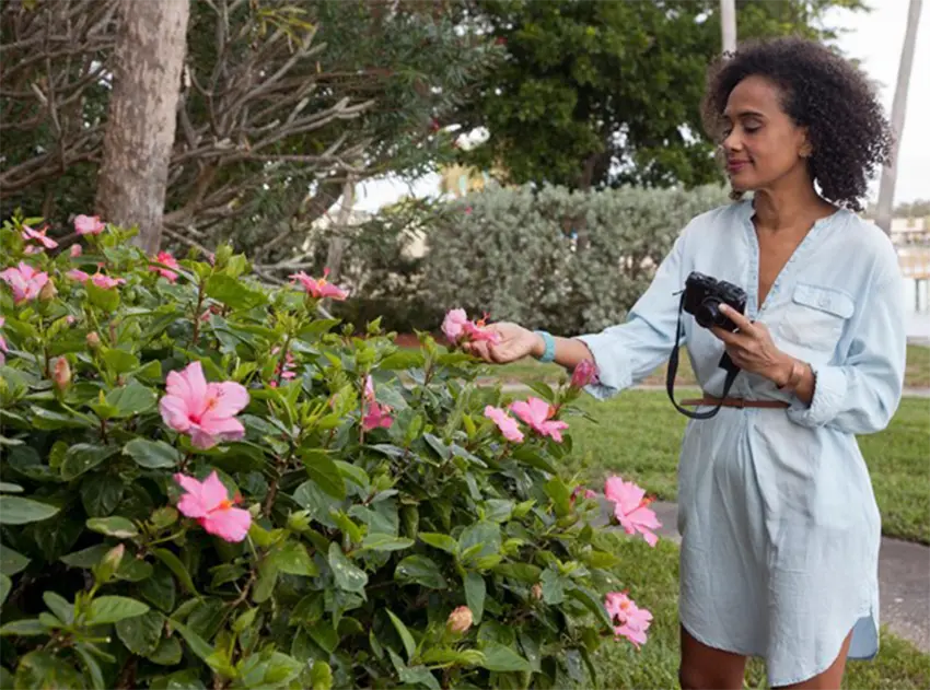 photographing in the garden
