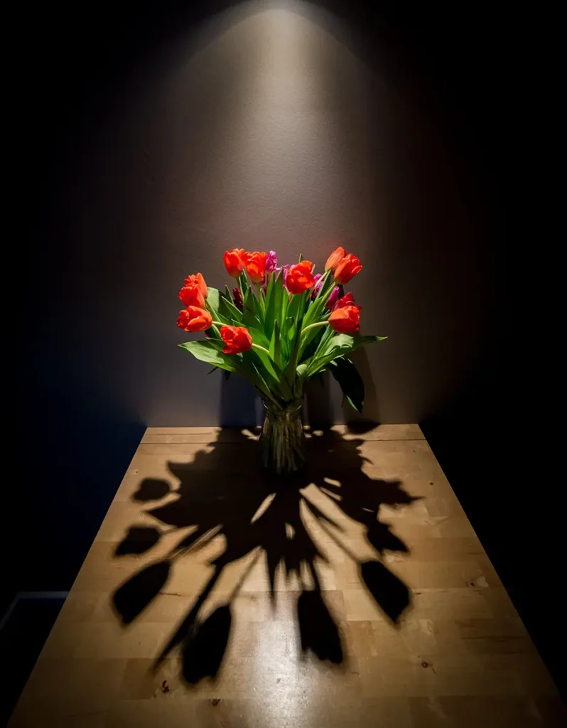 while their soft shadows extend across the tabletop