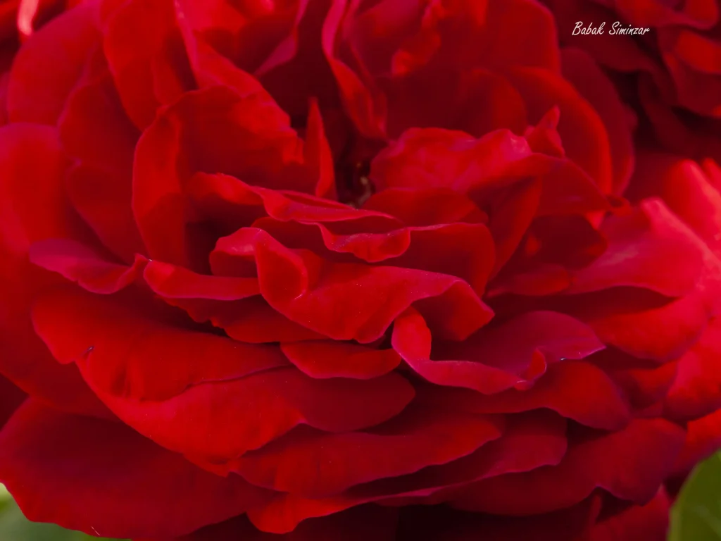 Abstract Photos of Nature