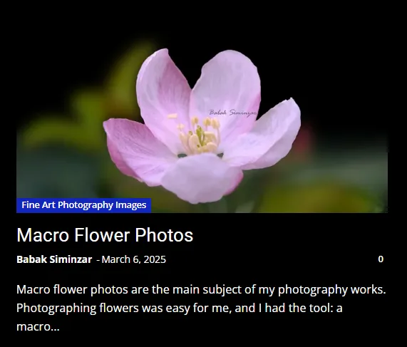 macro flower photos gallery