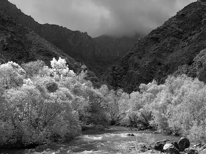 black and white landscapes
